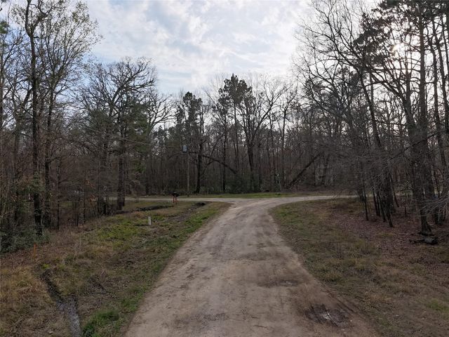 TBD Mossy Drive, Livingston, TX 77351