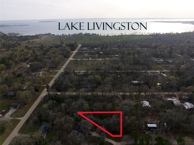 TBD Mossy Drive, Livingston, TX 77351