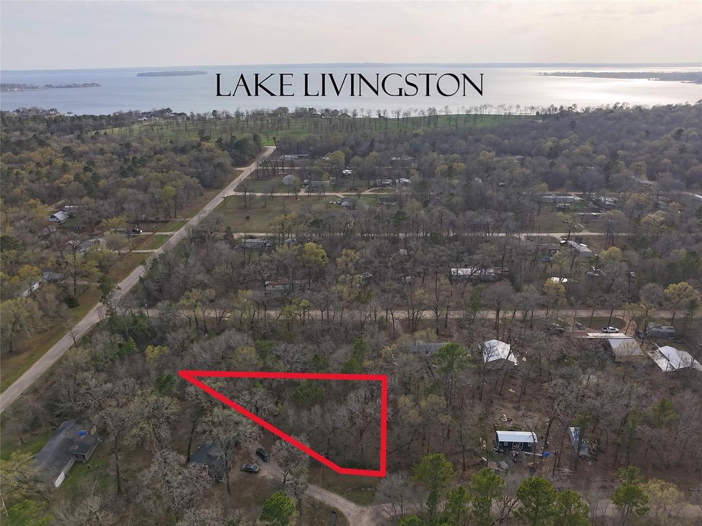 TBD Mossy Drive, Livingston, TX 77351