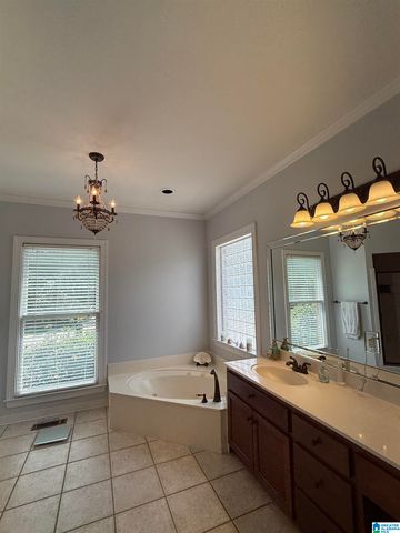 701 MILL SPRINGS LANE, Hoover, AL 35244
