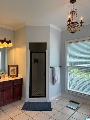 701 MILL SPRINGS LANE, Hoover, AL 35244