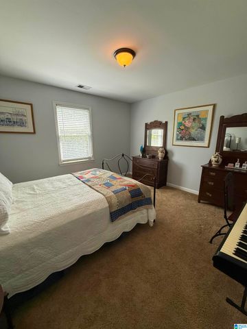 701 MILL SPRINGS LANE, Hoover, AL 35244