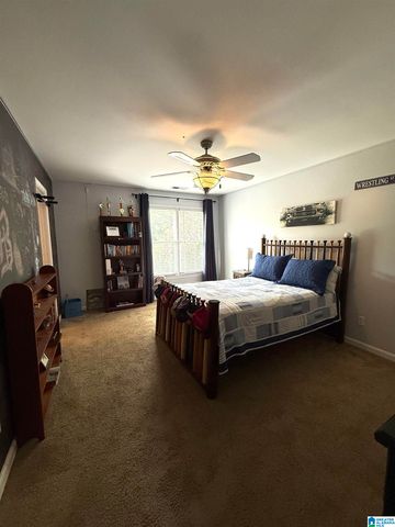 701 MILL SPRINGS LANE, Hoover, AL 35244