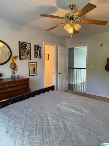 701 MILL SPRINGS LANE, Hoover, AL 35244