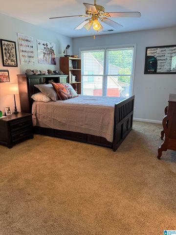 701 MILL SPRINGS LANE, Hoover, AL 35244