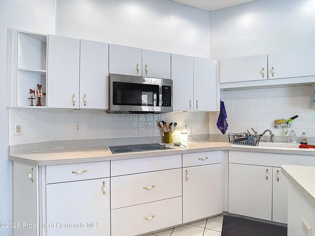 8410 Maybelle Drive, Weeki Wachee, FL 34613