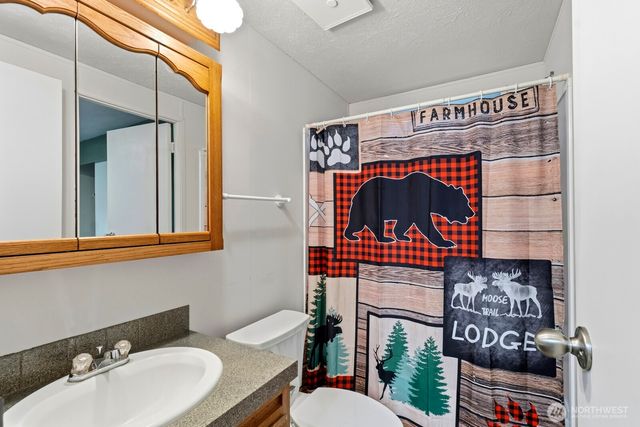 17033 Wisteria Court SE, Yelm, WA 98597