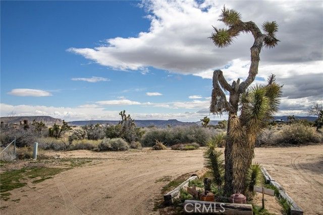 2863 Ox Yoke, Pioneertown, CA 92268