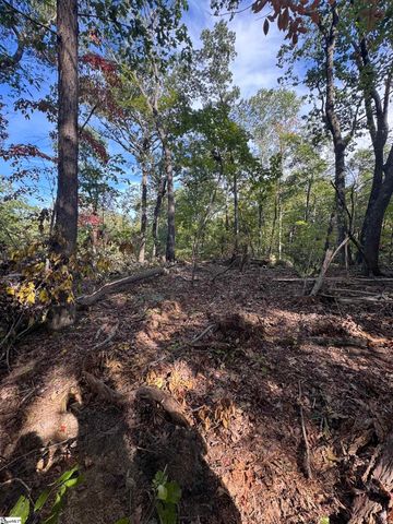00 Hawkins Road, Greer, SC 29651