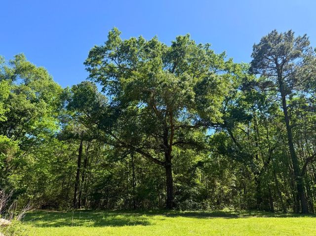0 Hwy 150, Coldspring, TX 77331