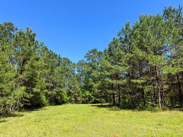 0 Hwy 150, Coldspring, TX 77331