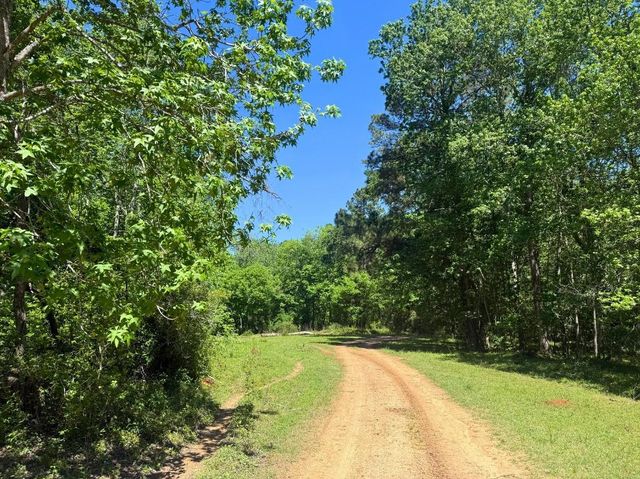 0 Hwy 150, Coldspring, TX 77331