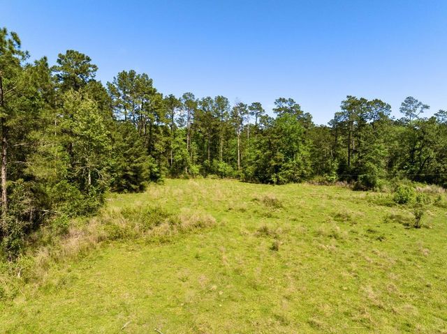 0 Hwy 150, Coldspring, TX 77331