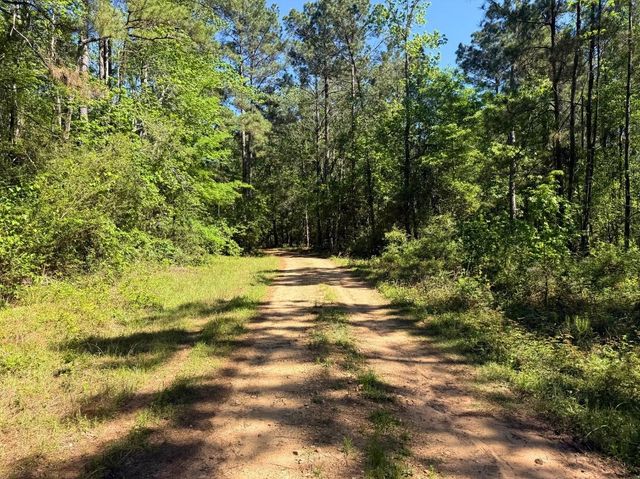 0 Hwy 150, Coldspring, TX 77331