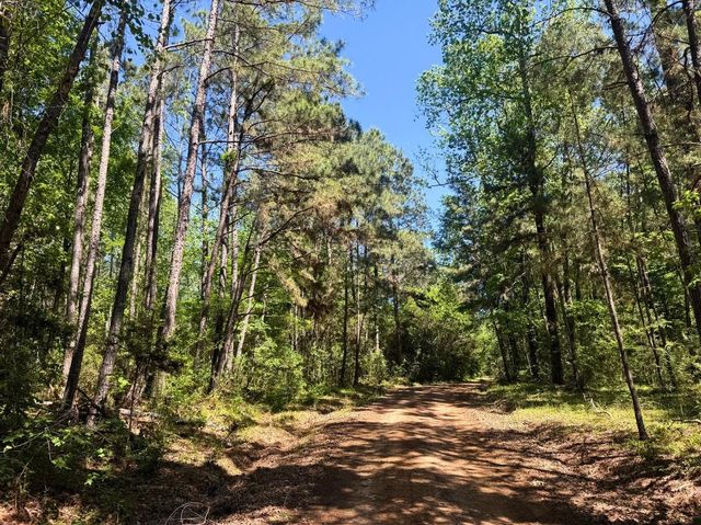 0 Hwy 150, Coldspring, TX 77331