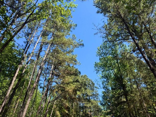 0 Hwy 150, Coldspring, TX 77331