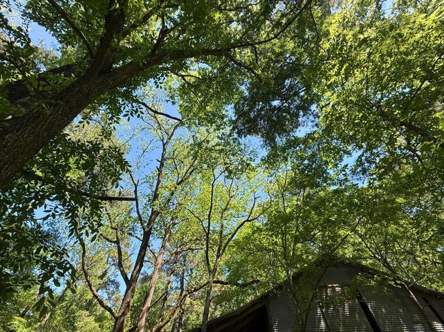 0 Hwy 150, Coldspring, TX 77331