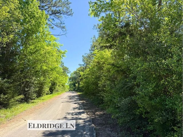 0 Hwy 150, Coldspring, TX 77331