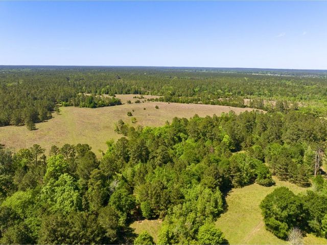 0 Hwy 150, Coldspring, TX 77331