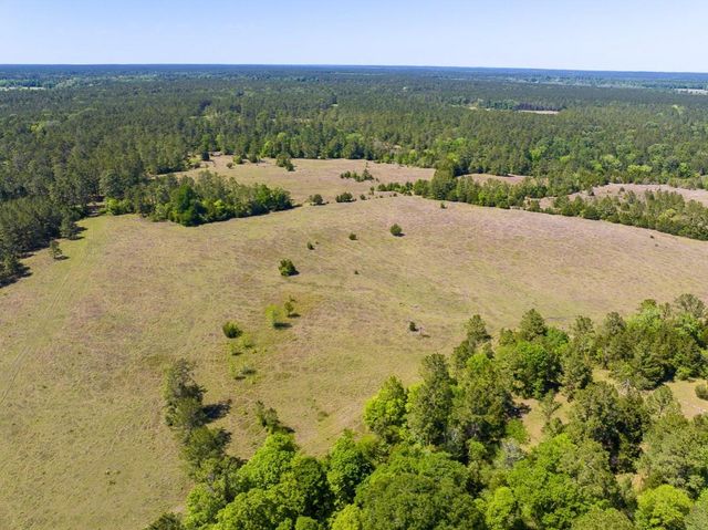 0 Hwy 150, Coldspring, TX 77331