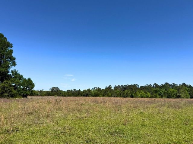 0 Hwy 150, Coldspring, TX 77331