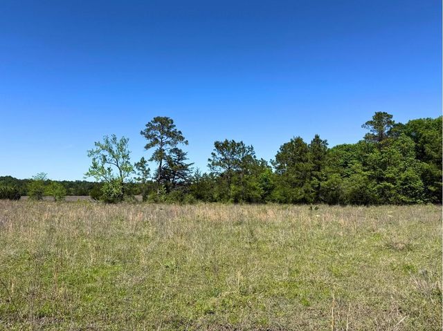 0 Hwy 150, Coldspring, TX 77331