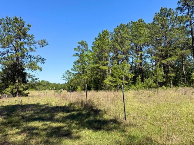 0 Hwy 150, Coldspring, TX 77331