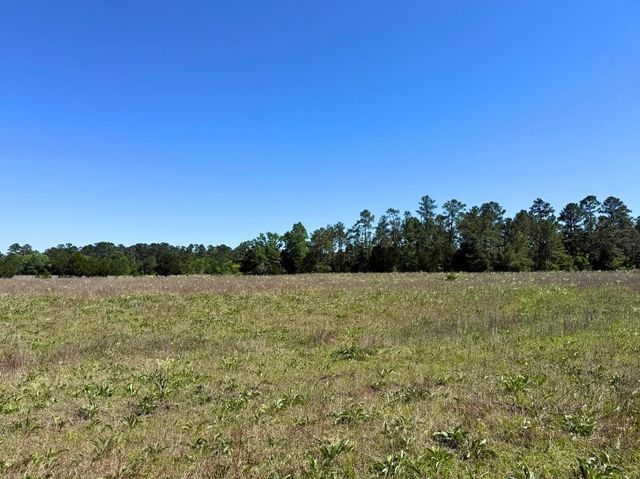 0 Hwy 150, Coldspring, TX 77331