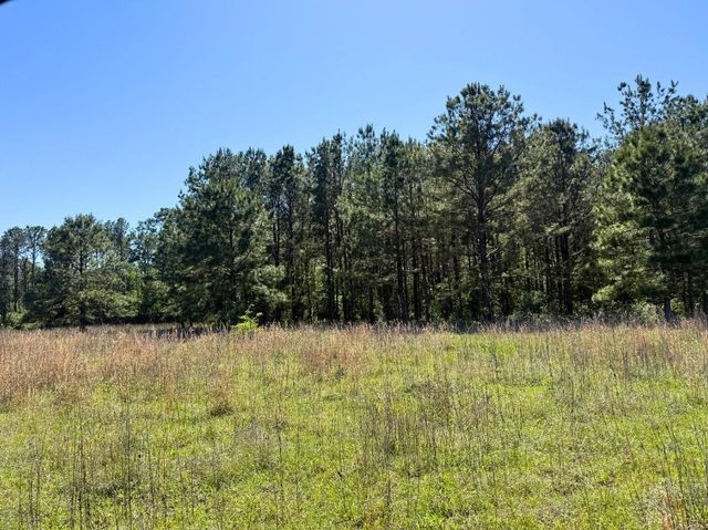0 Hwy 150, Coldspring, TX 77331