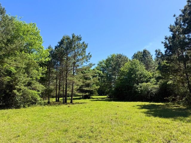 0 Hwy 150, Coldspring, TX 77331