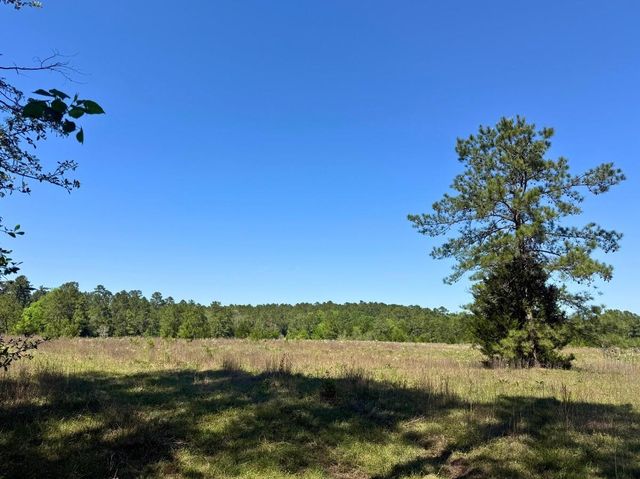 0 Hwy 150, Coldspring, TX 77331