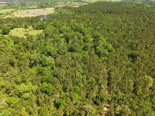 0 Hwy 150, Coldspring, TX 77331