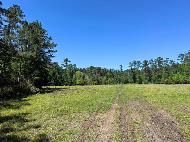 0 Hwy 150, Coldspring, TX 77331