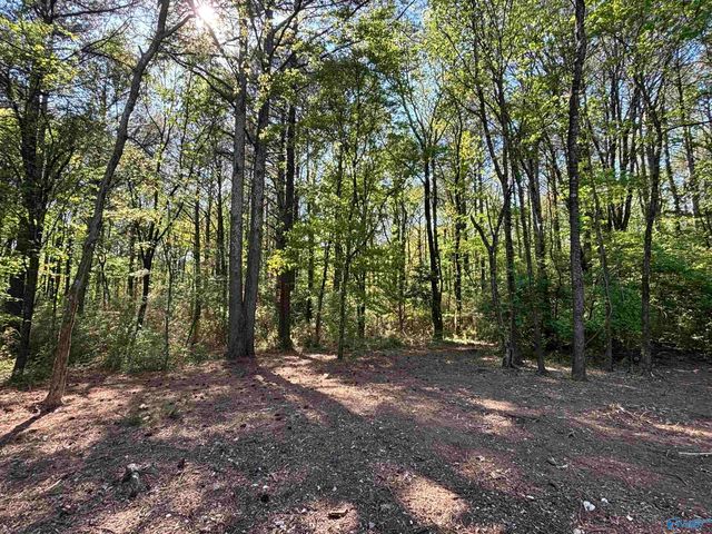 Pin 35708 Tee Jay Drive, Huntsville, AL 35810