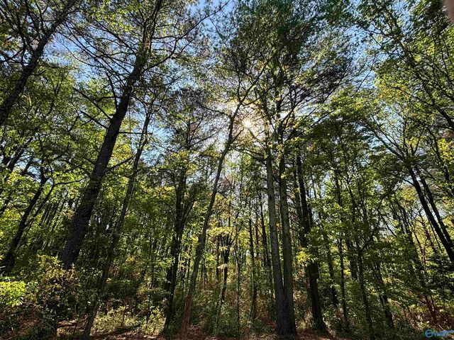 Pin 35708 Tee Jay Drive, Huntsville, AL 35810