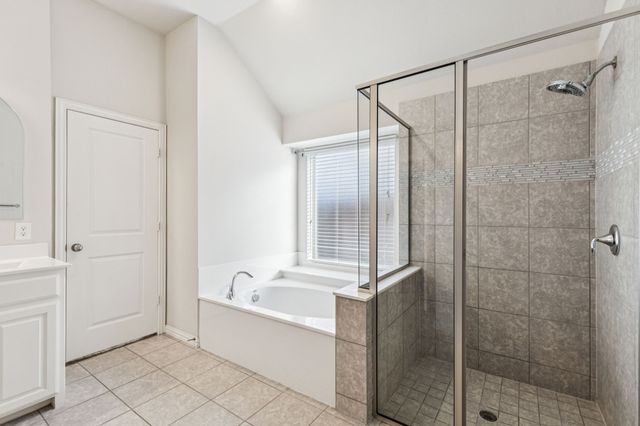 9809 Echo Summit Drive, Little Elm, TX 75068