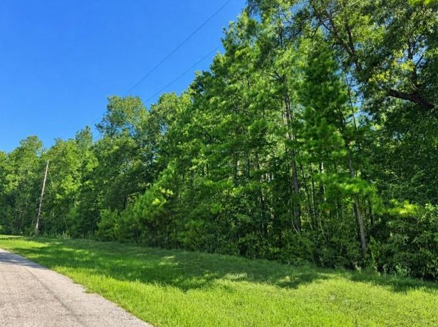 4b-11-3 Sundog Road, Huntsville, TX 77340