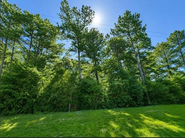 4b-11-3 Sundog Road, Huntsville, TX 77340