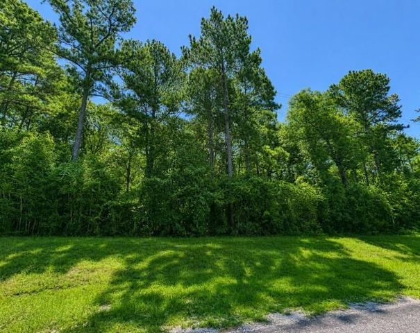 4b-11-3 Sundog Road, Huntsville, TX 77340