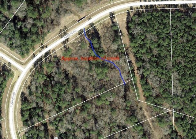 4b-11-3 Sundog Road, Huntsville, TX 77340