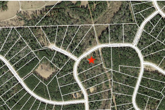 4b-11-3 Sundog Road, Huntsville, TX 77340