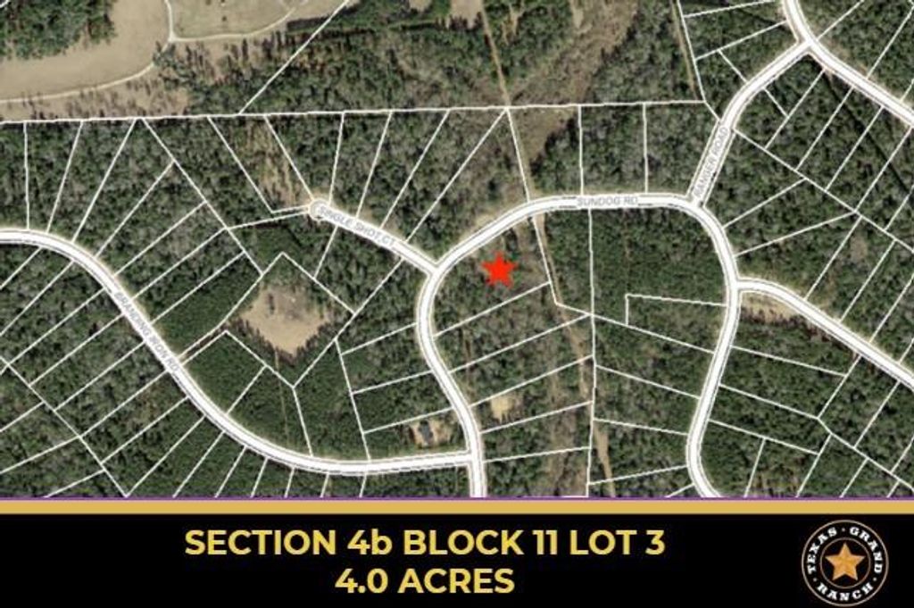 4b-11-3 Sundog Road, Huntsville, TX 77340