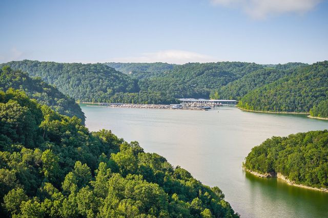 1385 Lakeside Dr, Smithville, TN 37166