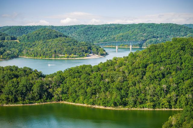 1385 Lakeside Dr, Smithville, TN 37166