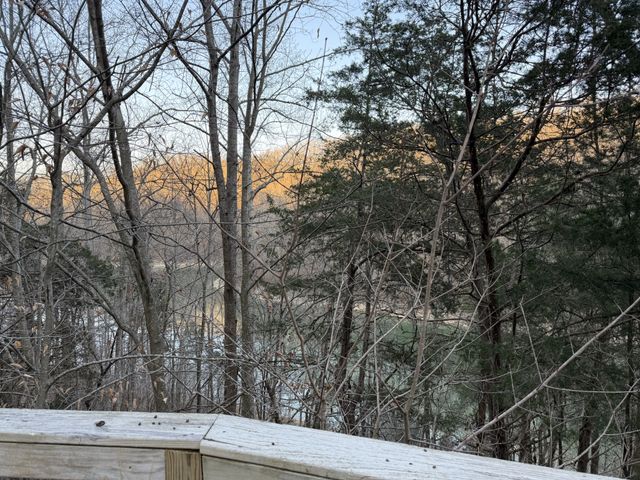 1385 Lakeside Dr, Smithville, TN 37166