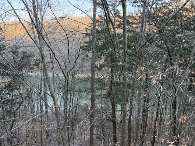1385 Lakeside Dr, Smithville, TN 37166