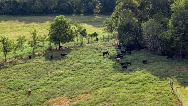 2811 Bert Watt Rd, Petersburg, TN 37144