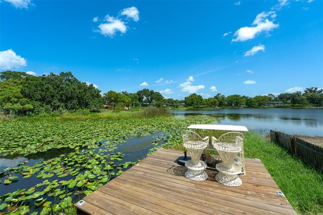 3107 LAKE MARGARET DRIVE, Orlando, FL 32806