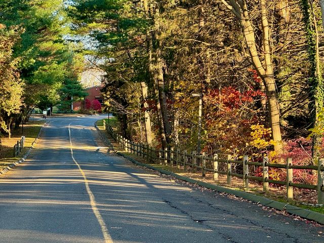 460 Asbury Ridge 460, Shelton, CT 06484