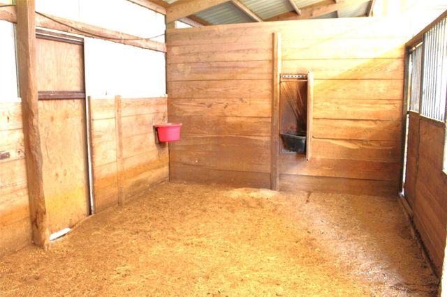 7777 County Road 2120, Grapeland, TX 75844